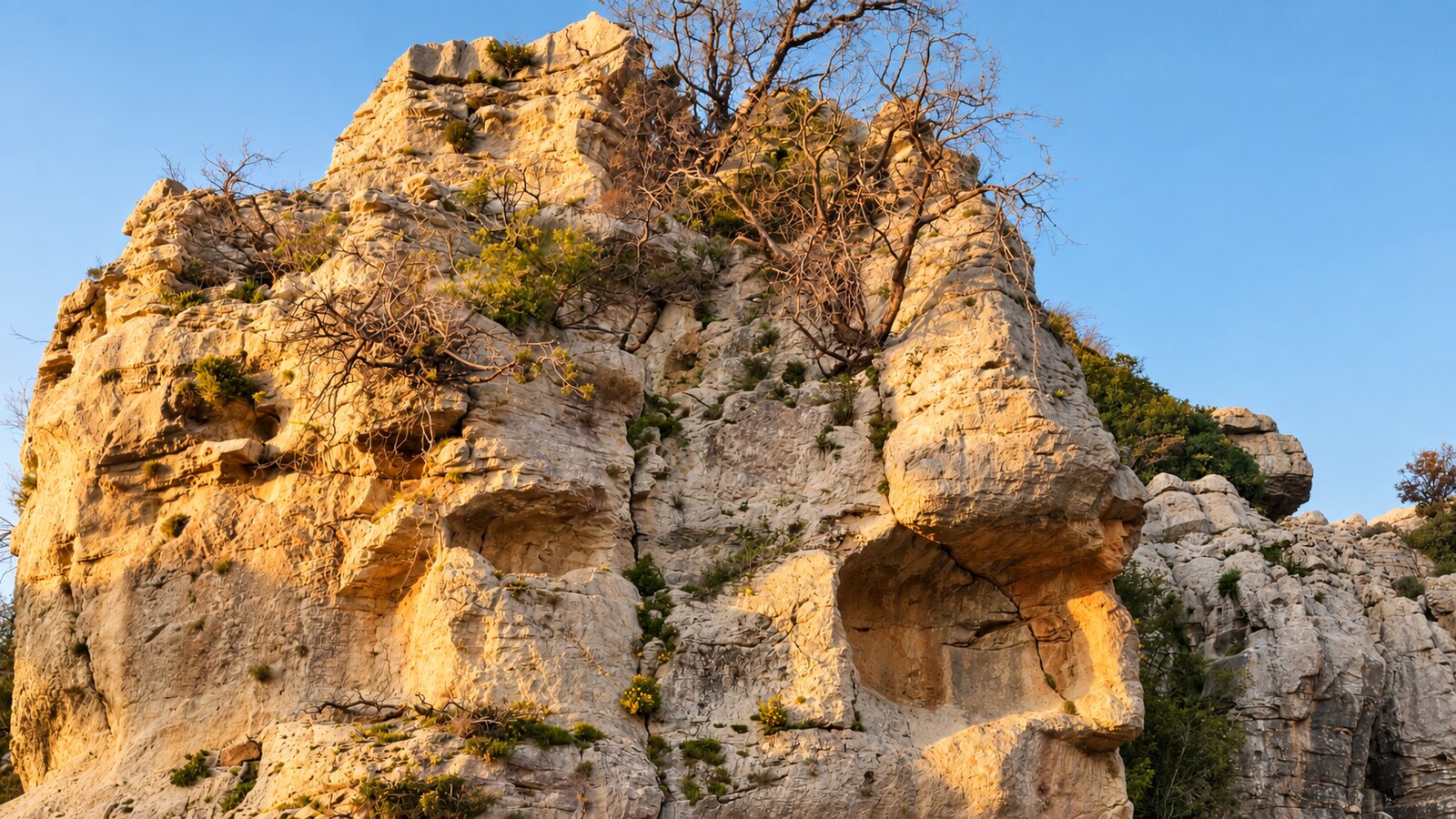 A weathered limestone outcrop above Douma at golden hour. Erosion has cut two human profiles into the rock, one on each side of the mass, with a bare tree growing from the summit.